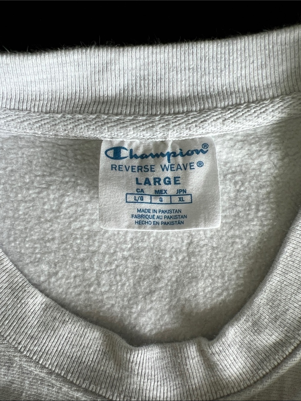 Champion Salty Dog Graphic Sweatshirt in Light Gray Oversized - Picture 5 of 7
